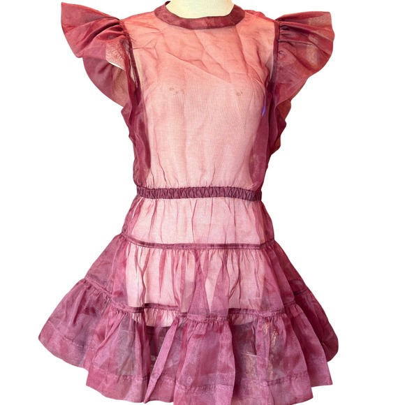 Jonathan Simkhai Sheer Burgundy Ruffle Mini Dress 12 Runway Statement Piece - Picture 1 of 7